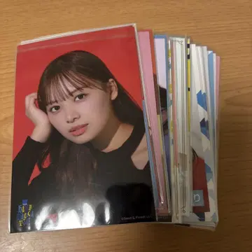 하마기시 히요리 브로마이드 묶음 판매