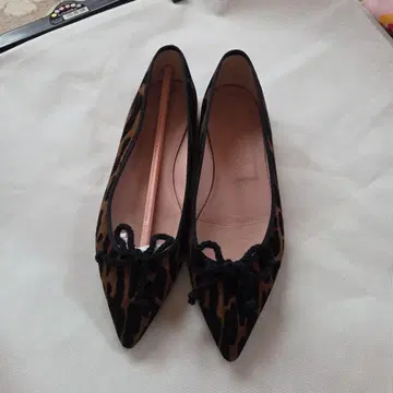 프리티 발레리나 Pretty Ballerinas 24cm