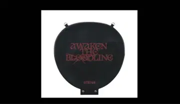 andTEAM IMAGE PICKET CASE 부채 케이스 아지츠