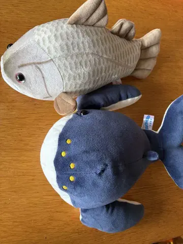 아카메와 고래 봉제 인형 세트