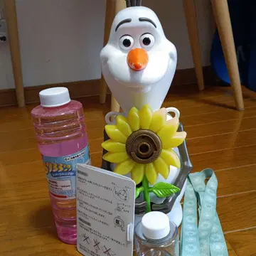 올라프 샤봉 디즈니 리조트