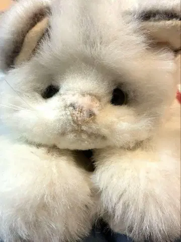 리베 화이트 고양이 봉제 인형 길이 약 35cm 빈티지