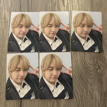 나니와단시 비대칭 니시하타 다이토