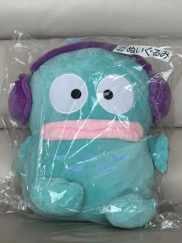 한교동! 헤드폰 포함 봉제 인형