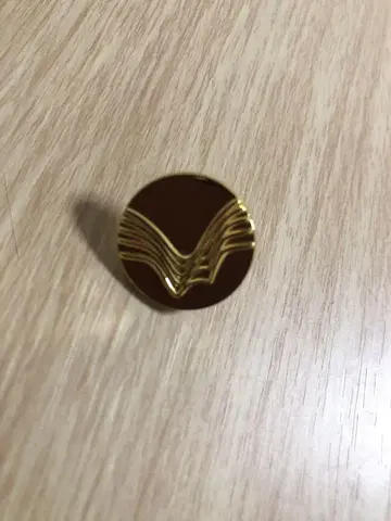 쿠웨이트 핀 배지 엑스포