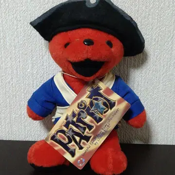 Patriot;Grateful dead bear