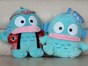 폭탄 탄생! 생일 한교동 봉제 인형