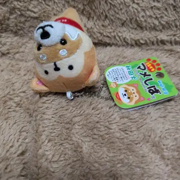 여행하는 마메시바 아키타견