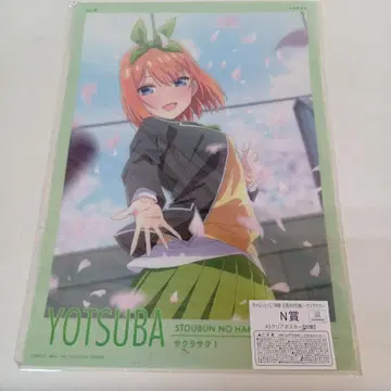 YOTSUBA 사쿠라 사쿠! A3 클리어 포스터 미개봉품