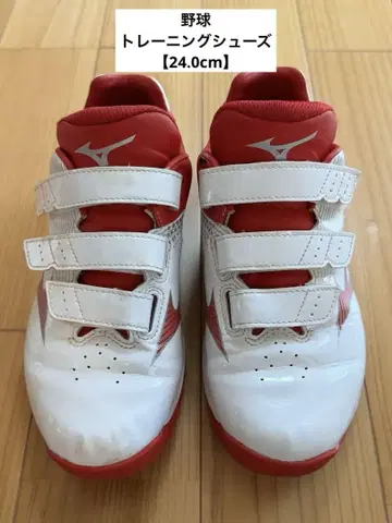 [ 24.0cm ] Mizuno 트레이닝 슈즈 화이트/레드