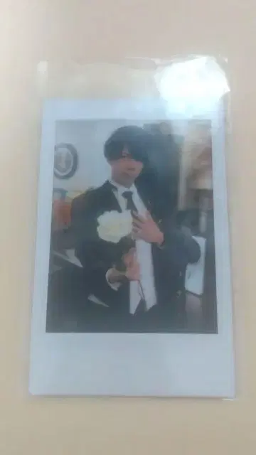 집사 가극단 노미 폴라로이드