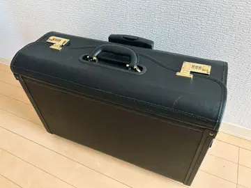 파이롯트 백 파이롯트 케이스 플라이트 백