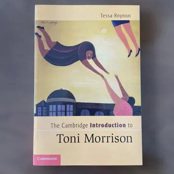 The Cambridge Introduction to T Morrison