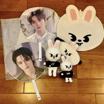 stray kids lee know set