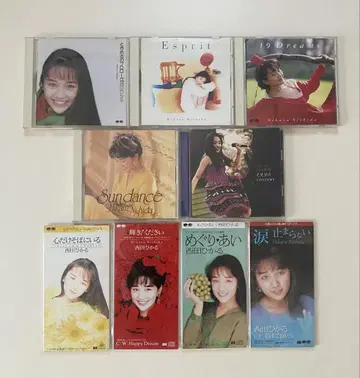 니시다 히카루 CD 앨범 5장과 싱글 4장 세트