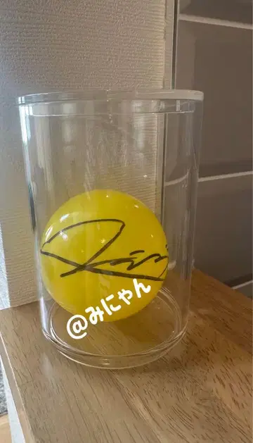 팬 미뇽 사인 공