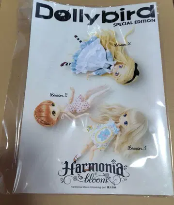 Harmonia Bloom 책자 패턴 포함