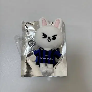 straykids 스키즈 KARMA skzoo ver. 리노 리비트
