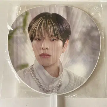 승민 부채 스키즈 straykids