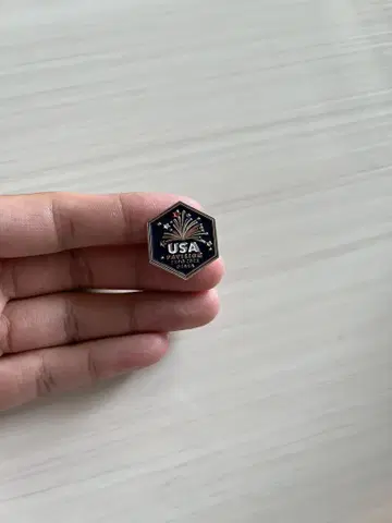 USA 파빌리온 한정판 2025 독립 기념일 핀 배지