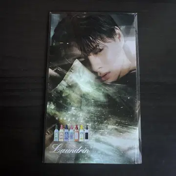 랜드린 리플렛 히라노 쇼