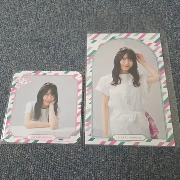 사쿠라자카 카페 모리타 히카루