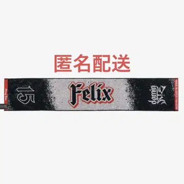 straykids 필릭스 에코파 타월