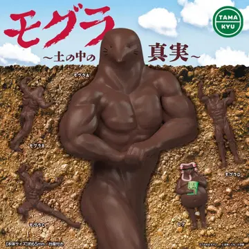B-31 컴프 TAMA-KYU 두더지 땅속의 진실 전 5종 가챠