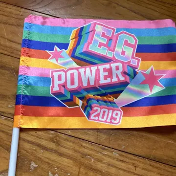 E.G. POWER 2019 플래그