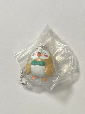 포켓몬 지우(사토시)의 모쿠로 체인