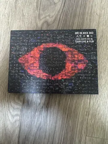 ONE OK ROCK / ONE OK ROCK 2013 인생 x 너=