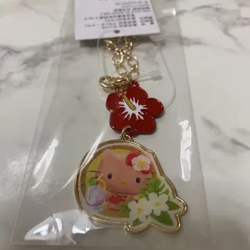 Sanrio Hello kitty 백참 일광화상 키티 하이비스커스