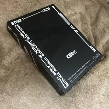 StrayKids GO 한정판 앨범 I.N 아이엔