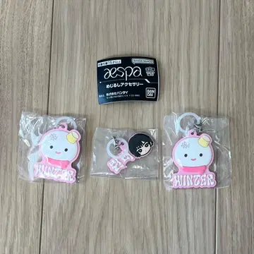 aespa 메지루시 액세서리 WINTER A B