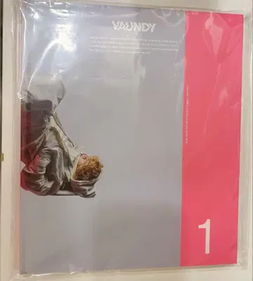VAUNDY 앨범 팬클럽 혜택