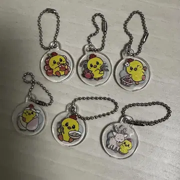 오리 대장 아크릴 참