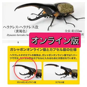 헤라클레스 헤라클레스 개조 (황갈색) 생물대도감 딱정벌레 07 온라인판