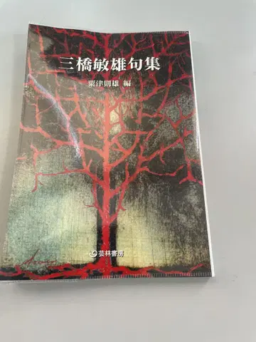 미츠하시 토시오 구집 예림 21세기 문고