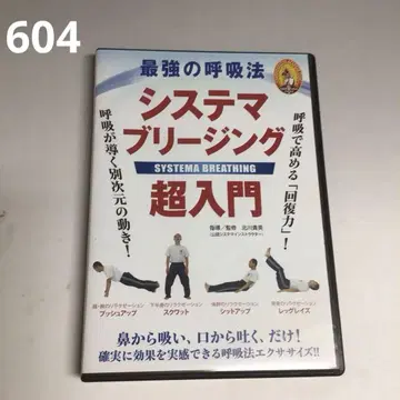 시스템 브리징 초입문 DVD