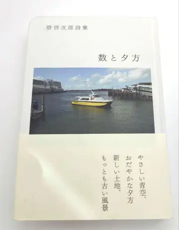 수와 저녁 칸 케이지로 시집
