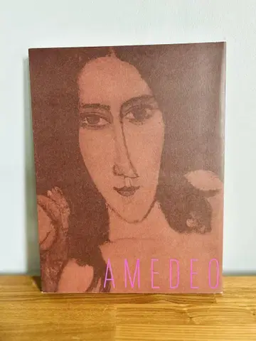 새상품급 레어 도록 아메데오 모딜리아니 사랑과 창작