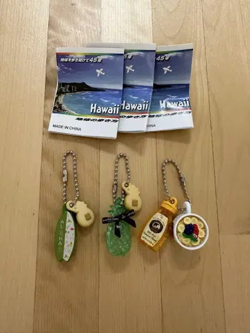지구의 산책 하와이 가챠가챠 캡슐 토이 키링 호놀룰루 쿠키