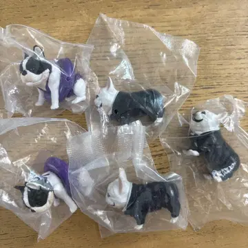 프렌치 불독 캡슐 토이