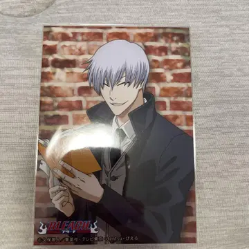 BLEACH 이치마루 긴 브로마이드