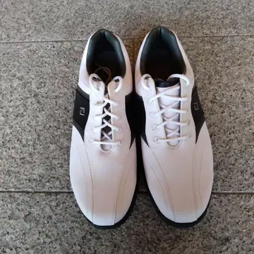 풋조이 Greenjoys 골프화