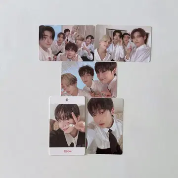ENHYPEN SEASON'S GREETINGS 트레이딩 카드