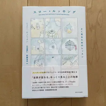 슬로우 루킹