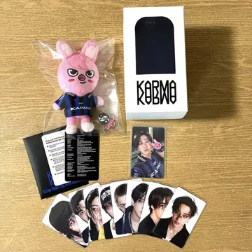 StrayKids KARMA SKZOOver. 창빈