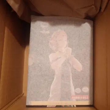 미개봉 맥스팩토리 figma 티어 젤다