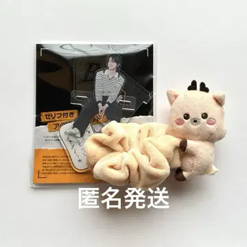 RIIZE 성찬 스크런치 아크릴 스탠드